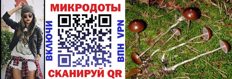 маркетплейс телеграм как найти наркотики Починок Галлюциногенные грибы GOLDEN TEACHER